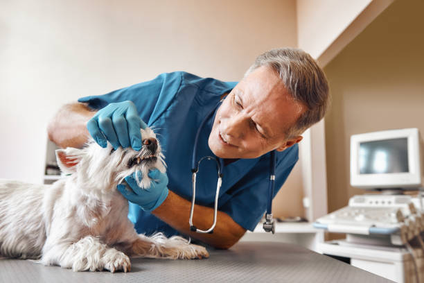 Best Emergency Tooth Extraction in Arkansas City, KS
